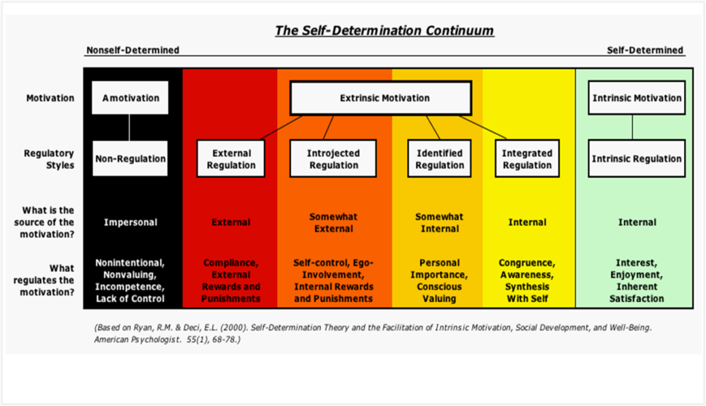 SELF DETERMINATION THEORY